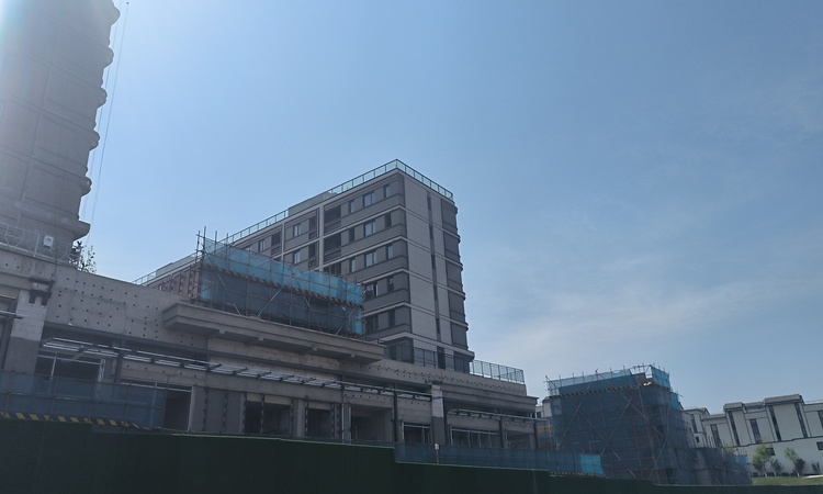 绿城湖畔和庐施工进度图