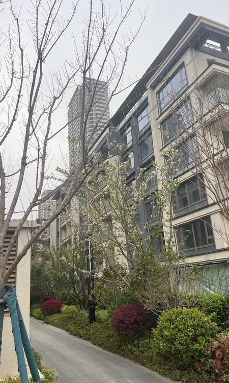 金融街金悦府施工进度图