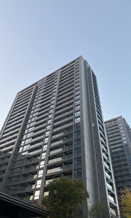 绿城·诚园施工进度图