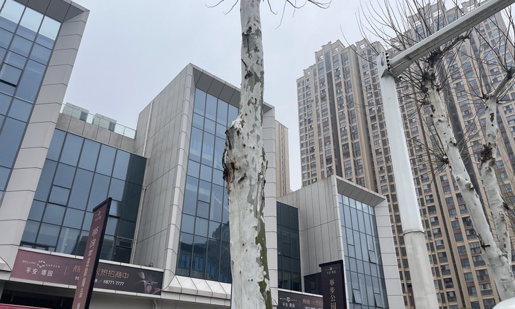 平安·璟园施工进度图