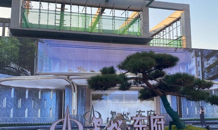 建投东府实景图