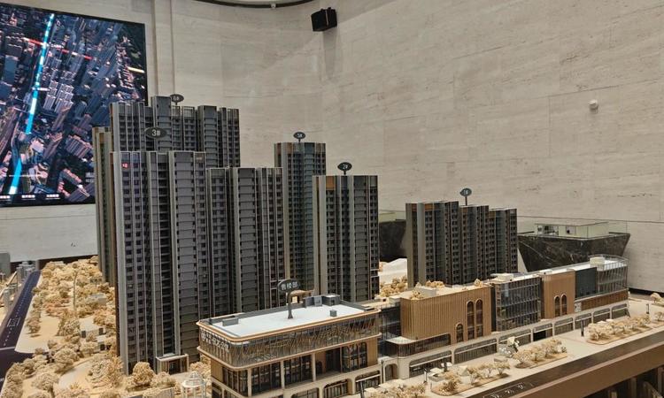 中建壹品汉芯公馆实景图