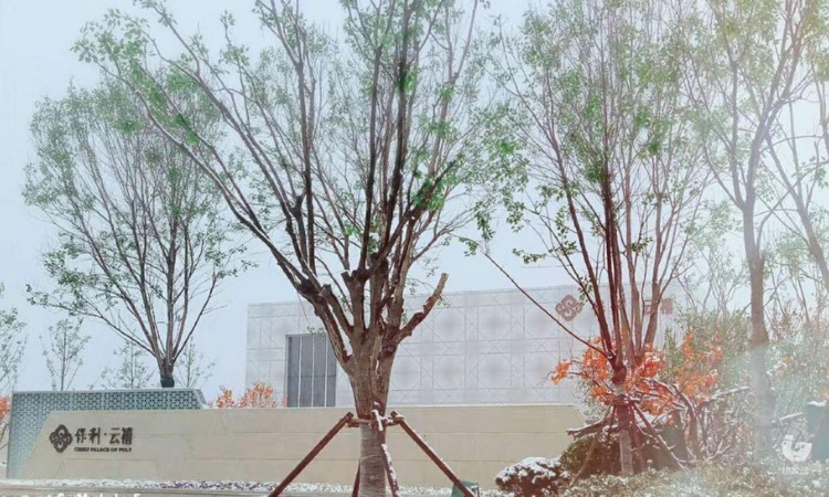 保利云禧实景图