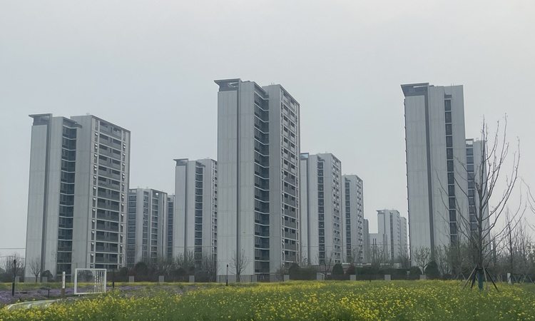 尚湾林语施工进度图