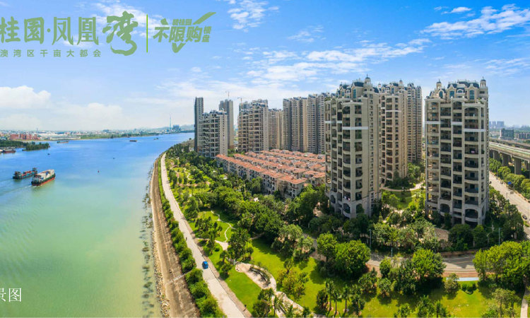 碧桂园凤凰湾实景图