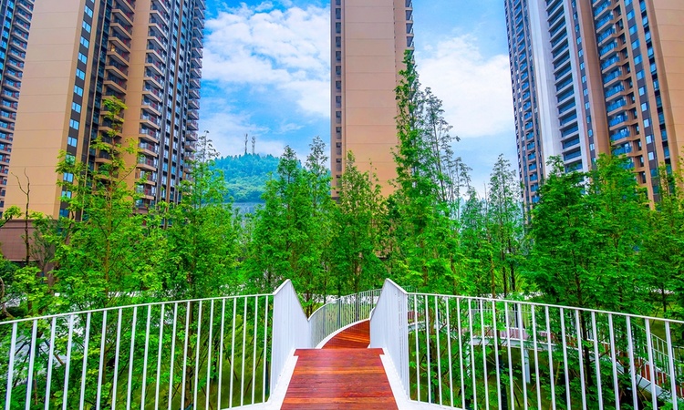 万科理想城实景图