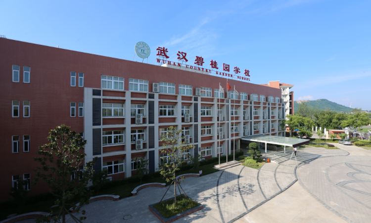 武汉碧桂园·江城纪周边配套图