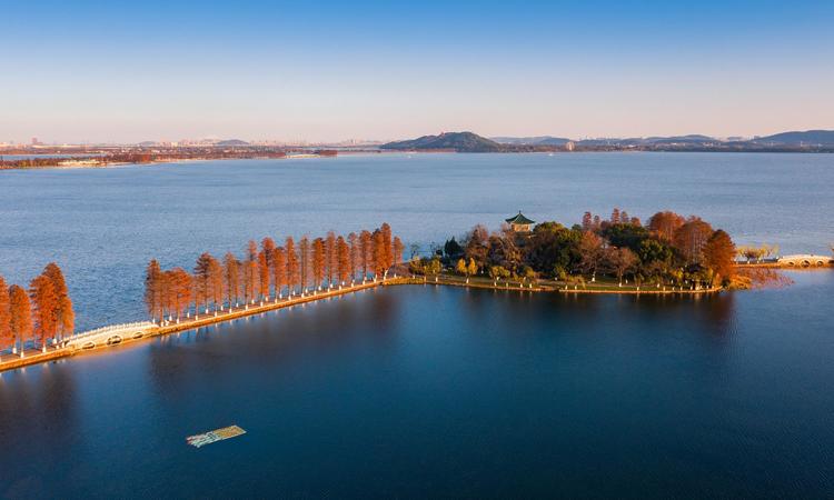 半岛九里周边配套图