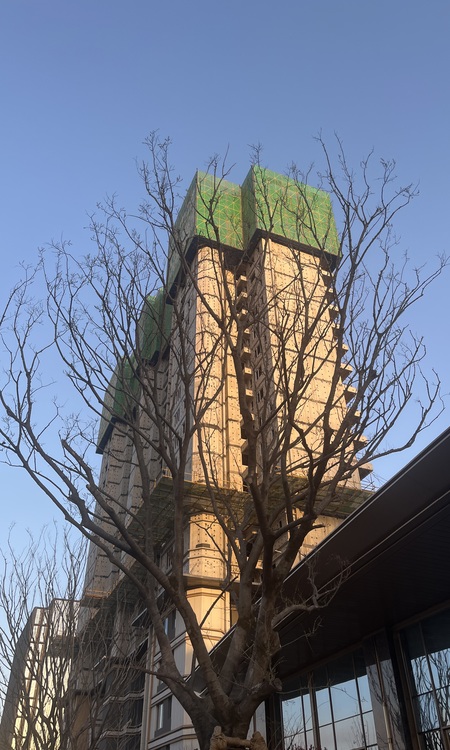 招商·林屿境施工进度图