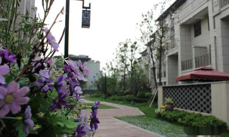 碧桂园·滨湖湾实景图