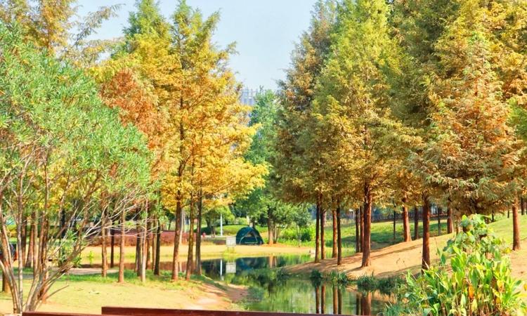 北辰金地漾时代周边配套图