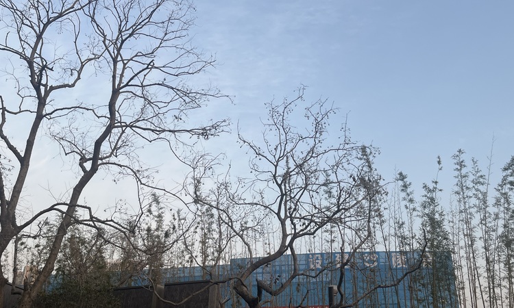 中吴江南春施工进度图