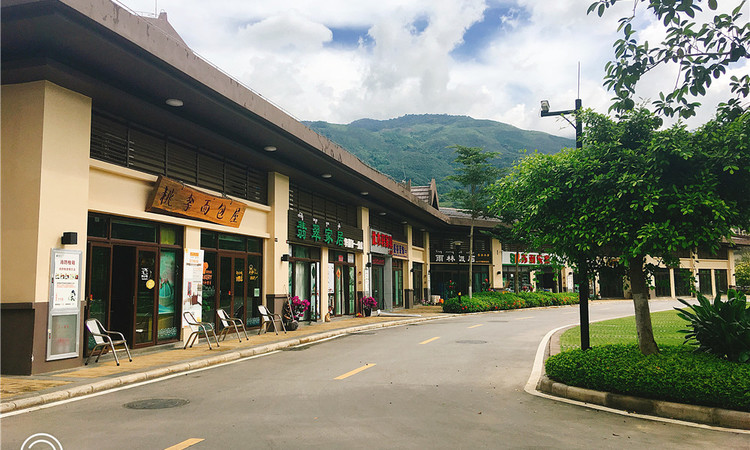 雅居乐·西双林语周边配套图