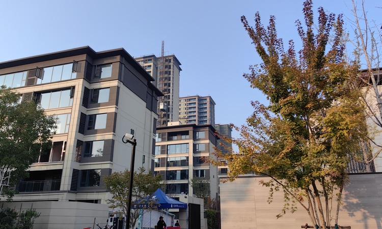 东原满庭芳实景图