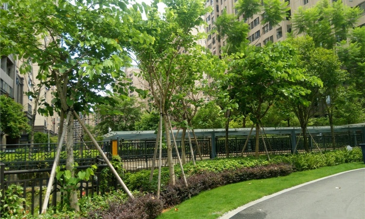 江南第一城雅郡实景图