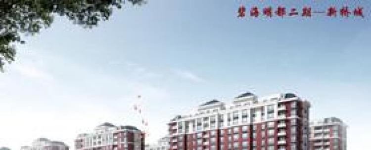 新桥城样板间