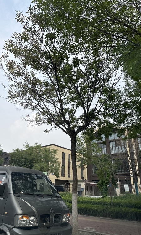 锦绣大家实景图