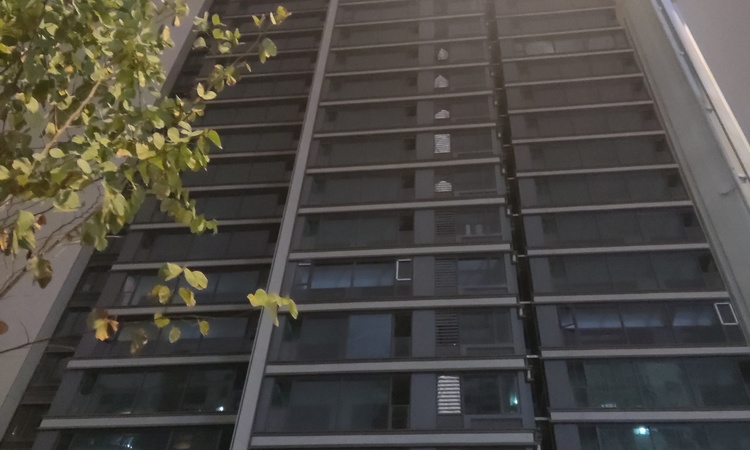建总华林雍璟实景图
