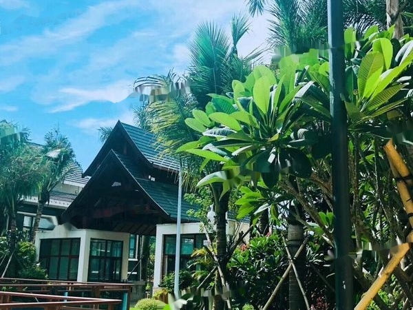 溪林雅居实景图