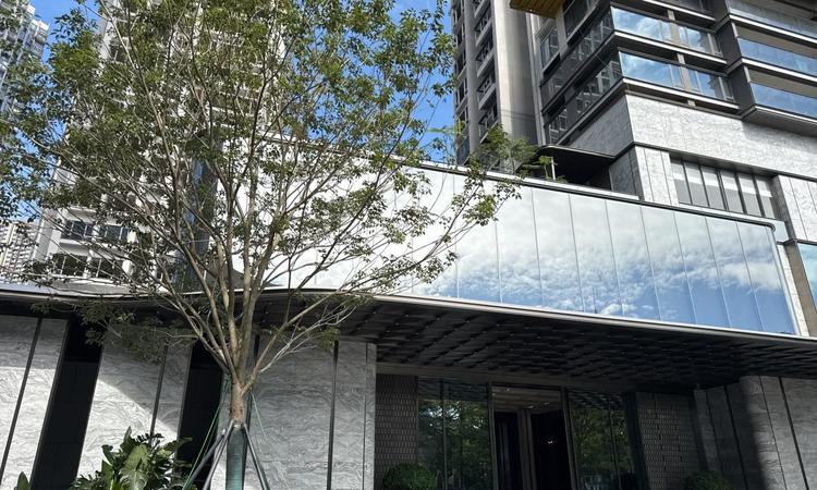 中海云启源境实景图