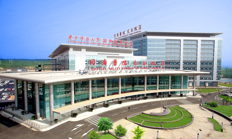 交投华园周边配套图