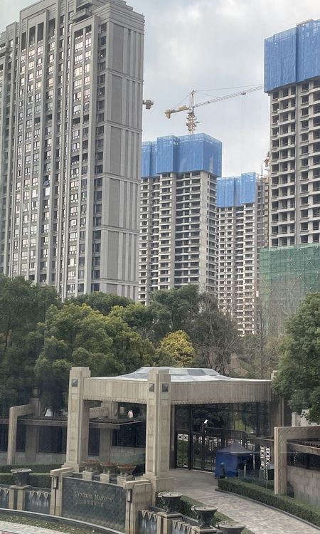 品尊国际施工进度图