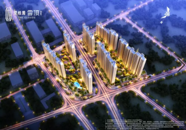 碧桂园云顶效果图
