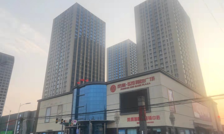 凤凰国际实景图