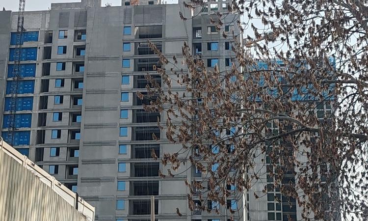 绿城凤栖云庐施工进度图