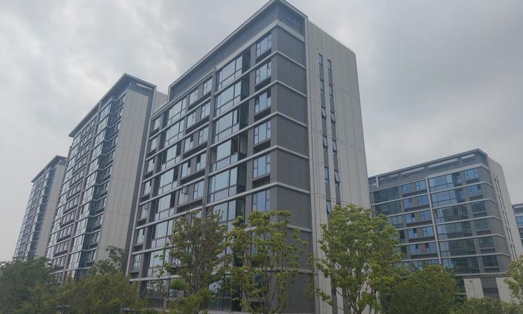 尚湾林语实景图