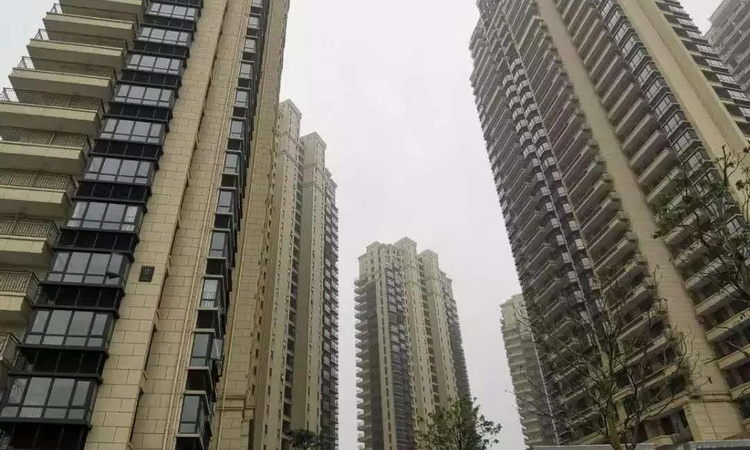 光明城市实景图