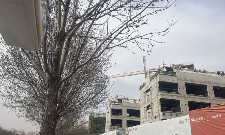 金地山川印施工进度图