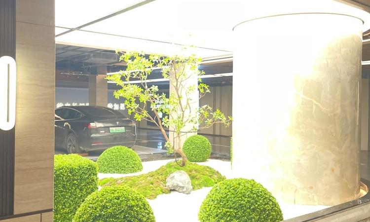 新希望·D10黑珍珠实景图