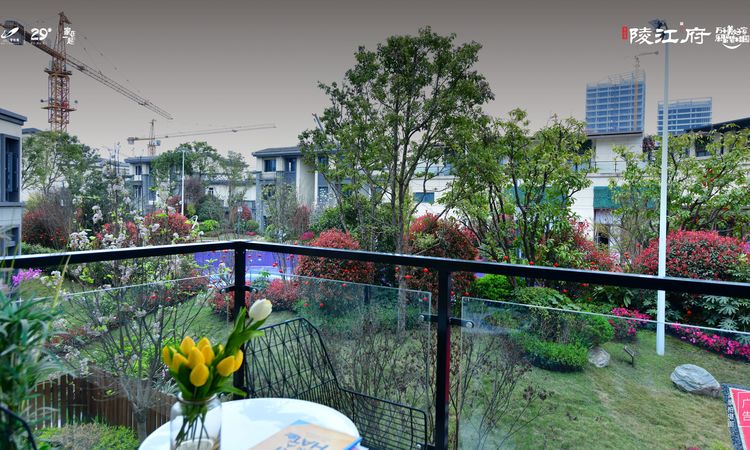 碧桂园陵江府实景图