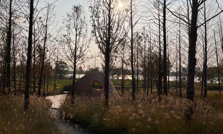 半岛九里实景图