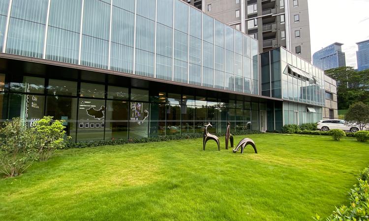 电建洺悦鹏著实景图