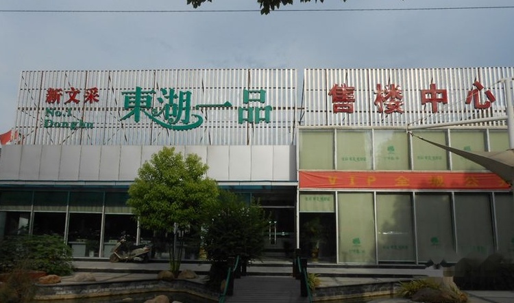 新文采·东湖一品实景图