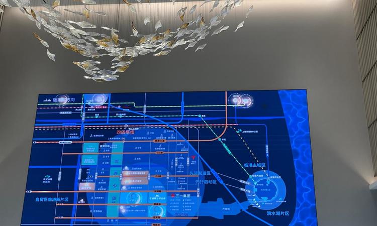 临港天荟实景图