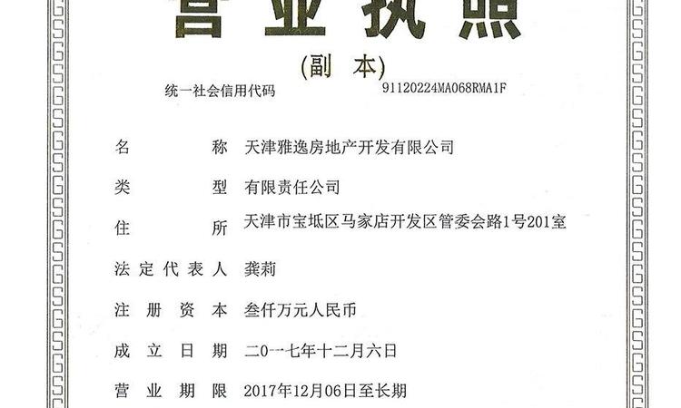 雅居乐津侨国际小镇楼盘证照