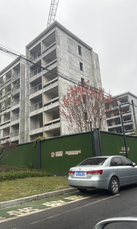 绿城·春璟宸庐施工进度图