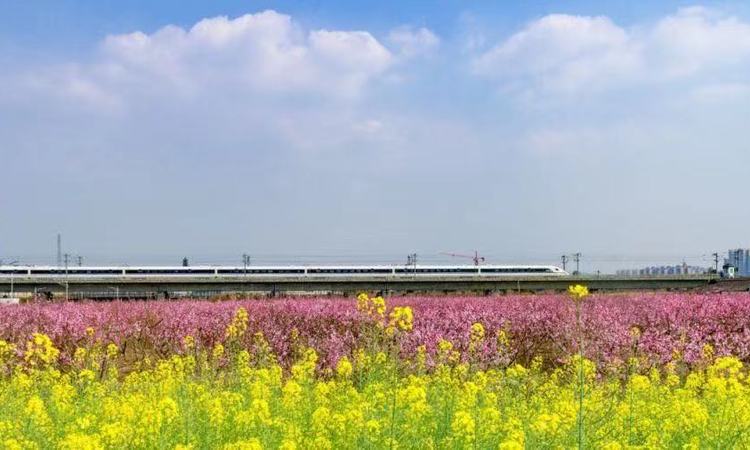 锦江华府周边配套图