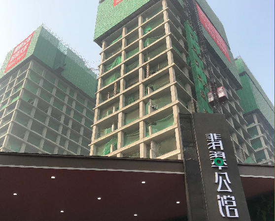 翡翠大厦施工进度图