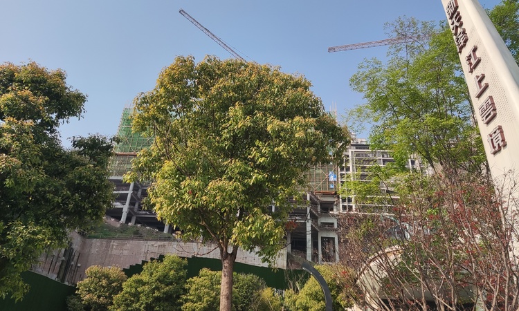 新天泽·江上雲境施工进度图