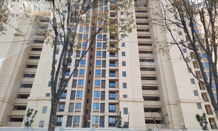 金色港湾君临水岸施工进度图