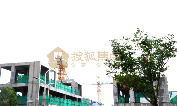 陶溪谷施工进度图