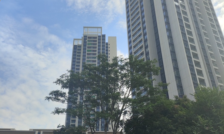 凤鸣水岸花园实景图