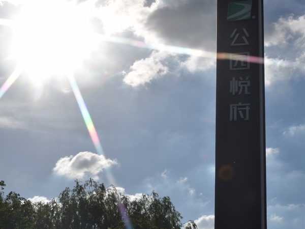 奥园公园悦府实景图