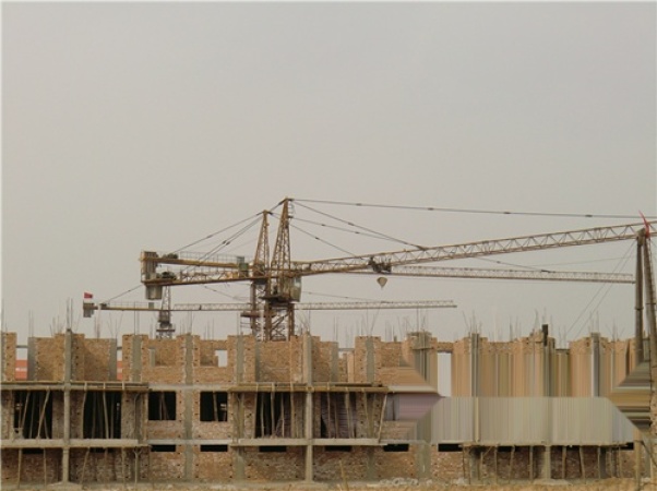 天泰·府东花园实景图