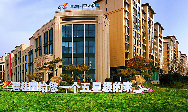 碧桂园森林海实景图