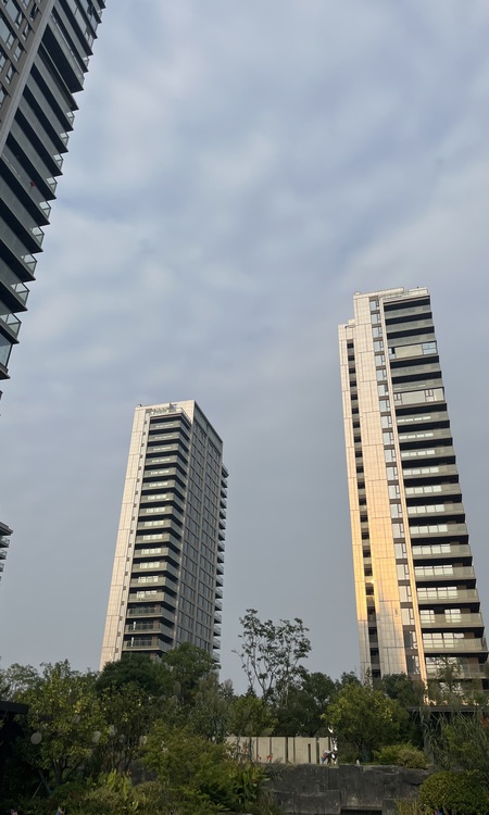 武汉城建光谷龙山湖施工进度图